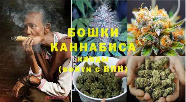 индика Вязники